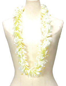 t_Xߑ@C@nCAC@t[C nC@ԏ@Cxg@t@W-24@JqWW[C@zCg@