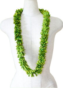 t_Xߑ@C@nC@ԏ@Cxg@t nCAC@t[C@G-15 O[[Y_uC c[g[@O[