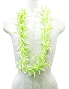 t_Xߑ@C@nC@ԏ@Cxg@t@G-05@XpC_[[C@O[