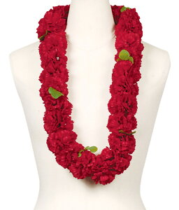 t_Xߑ@C@nCAC@t[C nC@ԏ@Cxg@t@R-02@j[J[l[V_uC@bh@