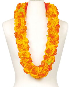 t_X@C@J[l[V@t_Xߑ@t@OR-03@j[J[l[V_uC@IW