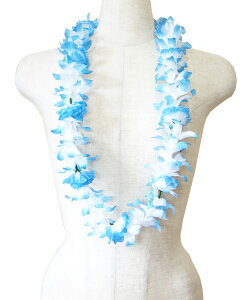 t_Xߑ@C@nC@ԏ @nCAC@t_XC@Cxg@t@B-LL @CjC@u[@