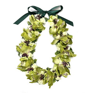 t_Xߑ@C@nCAC@t[C nC@ԏ@Cxg@t@AW C@ KCL-007NEW@VrW[C(O[)@