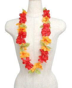 t_Xߑ@C@nCAC@t[C nC@ԏ@Cxg@t@M-30@AEC@bh@IW