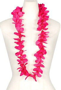 t_Xߑ@C@nCAC@t[C nC@ԏ@Cxg@t@PK-09@j[vAC@sN