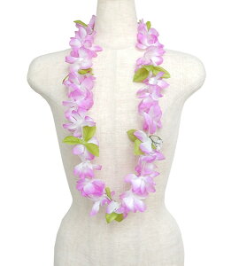 t_Xߑ@C@nCAC@t[C nC@ԏ@Cxg@t@PP-24@AEC@p[v@