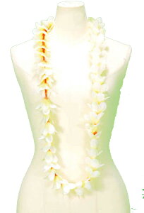 t_X@C@nC@vA t_Xߑ@W-37@vAtWpjC@N[@Z^[bh@122cm