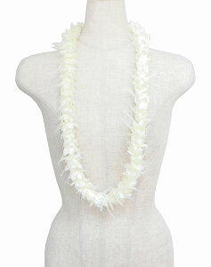 t_Xߑ@C@nCAC@t[C nC@ԏ@Cxg@t@W-63@InCACC@AC{[