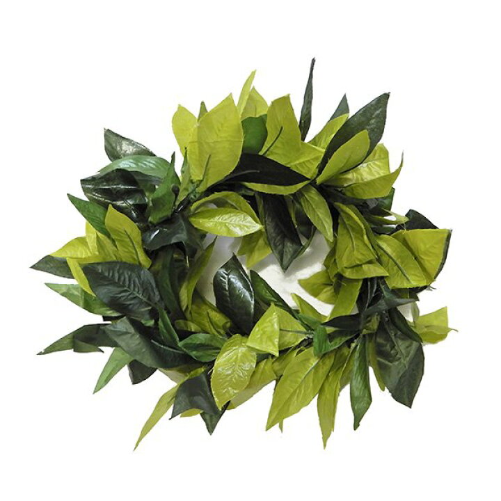 楽天市場】フラダンス衣装 ヘッドバンド レイポー ヘッドレイ レイ  