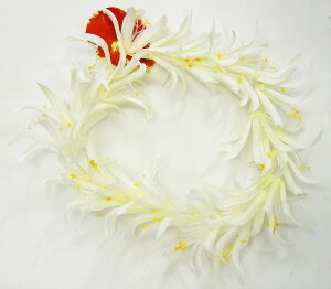 t_Xߑ@wbhoh@C|[@wbhC@C@nCAC@t[C@nC@XpC_[[@ԏ@Cxg@t@W-27-HB@XpC_[[wbho