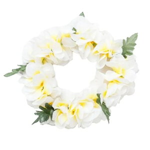 t_Xߑ@wbhoh@C|[@wbhC@C@nCAC@t[C@nC@ԏ@Cxg@t@YHNZ0314 fbNXvA zCg wbhoh