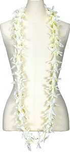 t_Xߑ@C@nC@ԏ@Cxg@t@nCAC@t[C OC@WL-07@ACh`[u[YOC@zCg@