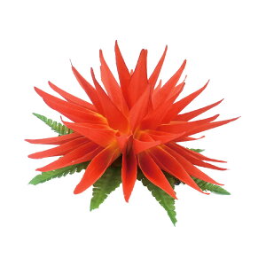 t_Xߑ@@ԏ@wANbv@Cxg@t@AW wANbv @KC-359 Xg`ANbvibhj