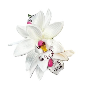 t_Xߑ@@ԏ@wANbv@Cxg@t@AW wANbv @KC-363 VrW[~jNbvizCgj