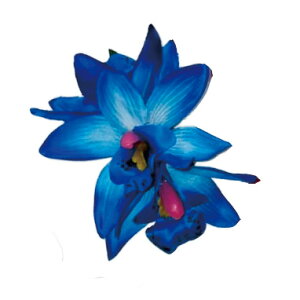 t_Xߑ@@ԏ@wANbv@Cxg@t@AW wANbv @KC-364 VrW[~jNbviu[j