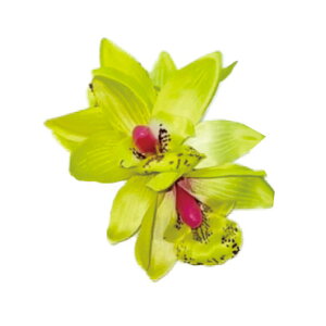 t_Xߑ@@ԏ@wANbv@Cxg@t@AW wANbv @KC-366 VrW[~jNbviO[j