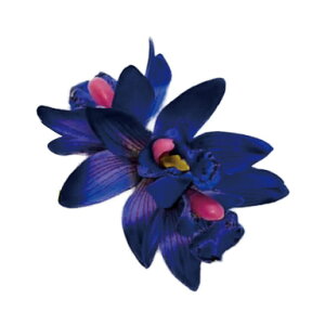 t_Xߑ@@ԏ@wANbv@Cxg@t@AW wANbv @KC-367 VrW[~jNbvi_[Nu[j