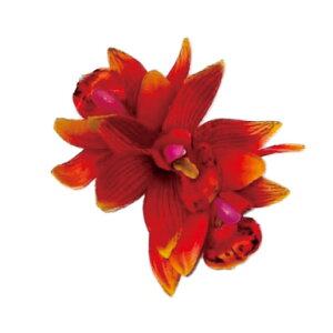 t_Xߑ@@ԏ@wANbv@Cxg@t@AW wANbv @KC-368 VrW[~jNbviIWj