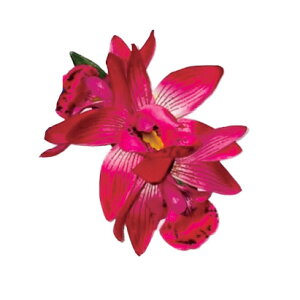 t_Xߑ@@ԏ@wANbv@Cxg@t@AW wANbv @KC-369 VrW[~jNbvisNj