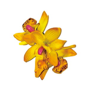 t_Xߑ@@ԏ@wANbv@Cxg@t@AW wANbv @KC-370 VrW[~jNbviCG[j