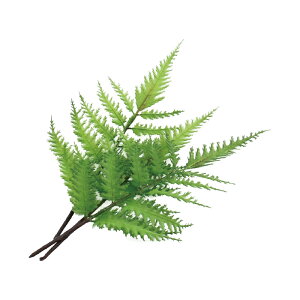 t_Xߑ@@ԏ@wANbv@Cxg@t@AW wANbv @KC-372 [tsbNi1ZbgjO[