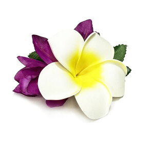 t_Xߑ@@ԏ@wANbv@Cxg@t@AW wANbv @KC-377 vA~jNbv