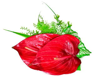 t_Xߑ@@ԏ@wANbv@Cxg@t@dā@AW@wANbv KC-004@AXE@bh@