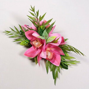 t_Xߑ@@ԏ@tA@wANbv@Cxg@t@KC-120@AW wANbv@VrW[Nbv@sNij