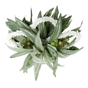 t_Xߑ@@ԏ@wANbv@Cxg@t@dā@I[_[@AW wANbv@KC-MOLO-3 nCʃV[Y@JC@O[@NE