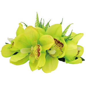 t_Xߑ@@ԏ@wANbv@Cxg@t@AW wANbv @KC-224 VrW[NbviO[j