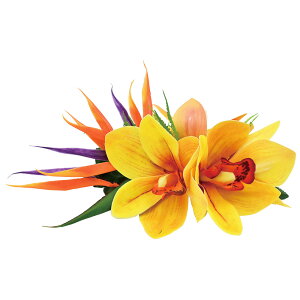 t_Xߑ@@ԏ@wANbv@Cxg@t@AW wANbv @KC-227 VrW[Xg`ANbviCG[j