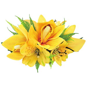 t_Xߑ@@ԏ@wANbv@Cxg@t@AW wANbv @KC-244 j[VrW[AXgANbviCG[j