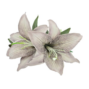 t_Xߑ@@ԏ@wANbv@Cxg@t@AW wANbv @KC-248@nCNIeB[[iuEj