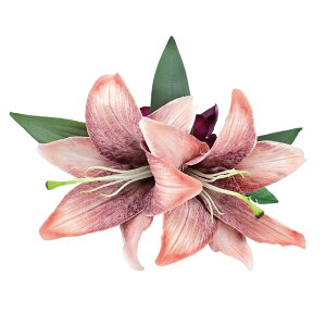 t_Xߑ@@ԏ@wANbv@Cxg@t@AW wANbv @KC-249@nCNIeB[[isNj