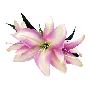 t_Xߑ@@ԏ@wANbv@Cxg@t@AW wANbv @KC-251 GKg[NbvisNj