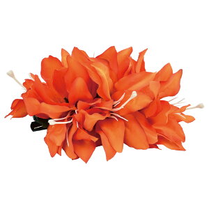 t_Xߑ@@ԏ@wANbv@Cxg@t@AW wANbv @KC-259 _u[NbviIWj