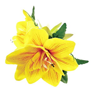 t_Xߑ@@ԏ@wANbv@Cxg@t@AW wANbv @KC-275 A}XNbviCG[j