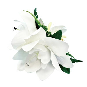 t_Xߑ@@ԏ@wANbv@Cxg@t@AW wANbv @KC-277 A}XNbvizCgj