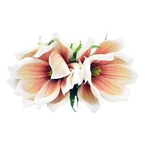 t_Xߑ@@ԏ@wANbv@Cxg@t@AW wANbv @KC-284 }OmANbviIWzCgj