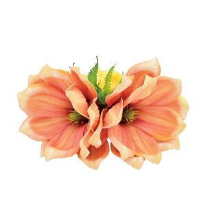 �t���_���X�ߑ��@������@�ԏ���@�w�A�N���b�v�@�C�x���g�@�t���@�A�����W �w�A�N���b�v �@KC-287 �}�O�m���A�N���b�v�i�I�����W�j