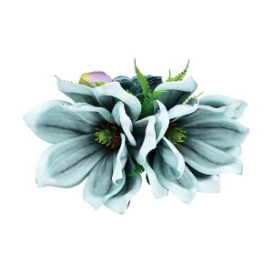 t_Xߑ@@ԏ@wANbv@Cxg@t@AW wANbv @KC-288 }OmANbviu[j