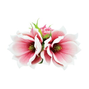 t_Xߑ@@ԏ@wANbv@Cxg@t@AW wANbv @KC-289 }OmANbvisNj