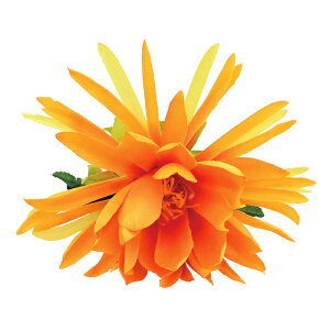 t_Xߑ@@ԏ@wANbv@Cxg@t@AW wANbv @KC-290 lNbviIWj