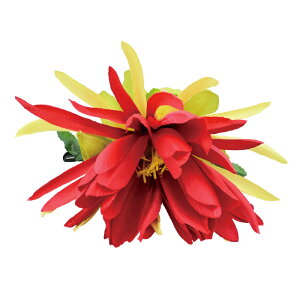 t_Xߑ@@ԏ@wANbv@Cxg@t@AW wANbv @KC-291 lNbvibhj