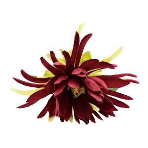 t_Xߑ@@ԏ@wANbv@Cxg@t@AW wANbv @KC-294 lNbvir[eB[j