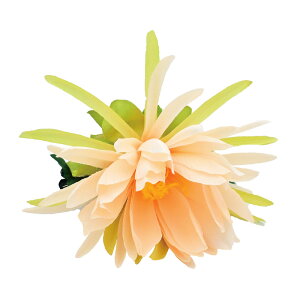 t_Xߑ@@ԏ@wANbv@Cxg@t@AW wANbv @KC-295 lNbvisNj