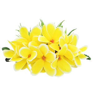 t_Xߑ@@ԏ@wANbv@Cxg@t@AW wANbv @KC-298 _uvANbviCG[j