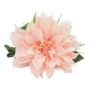 t_Xߑ@@ԏ@wANbv@Cxg@t@AW wANbv @KC-308 _ANbvisNj