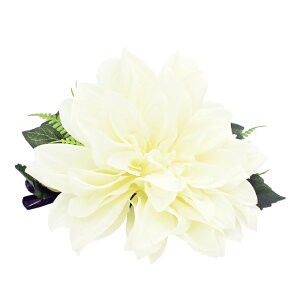 t_Xߑ@@ԏ@wANbv@Cxg@t@AW wANbv @KC-309 _ANbvizCgj