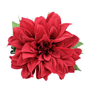 t_Xߑ@@ԏ@wANbv@Cxg@t@AW wANbv @KC-311 _ANbvibhj